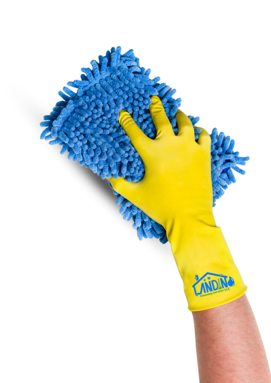 Landino Cleaning Services